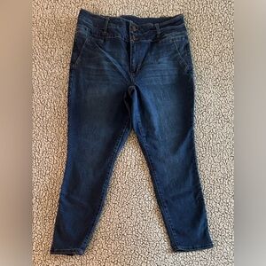 D. Jeans Skinny Jeans Slim Fit Mid Rise Denim Stretch Dark Wash Blue Size 14